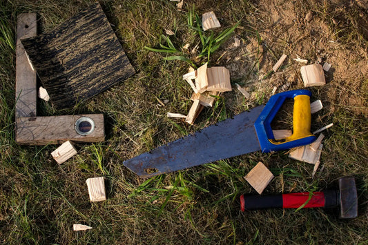 Best Woodworking Tools in 2026: Essential Tools for Every Workshop